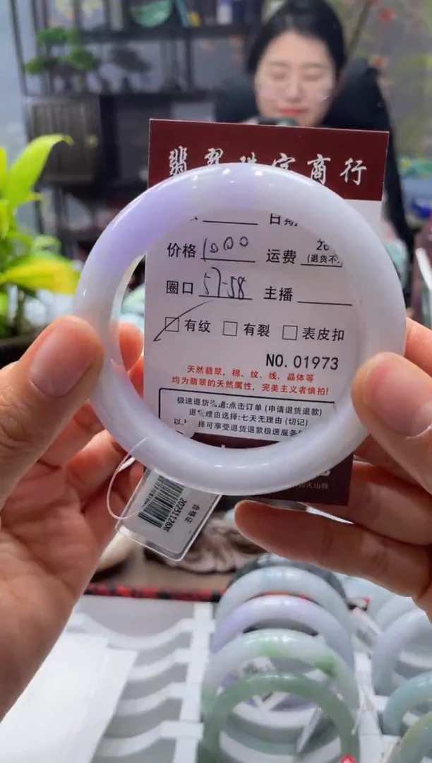 未镶嵌手镯翡翠1973