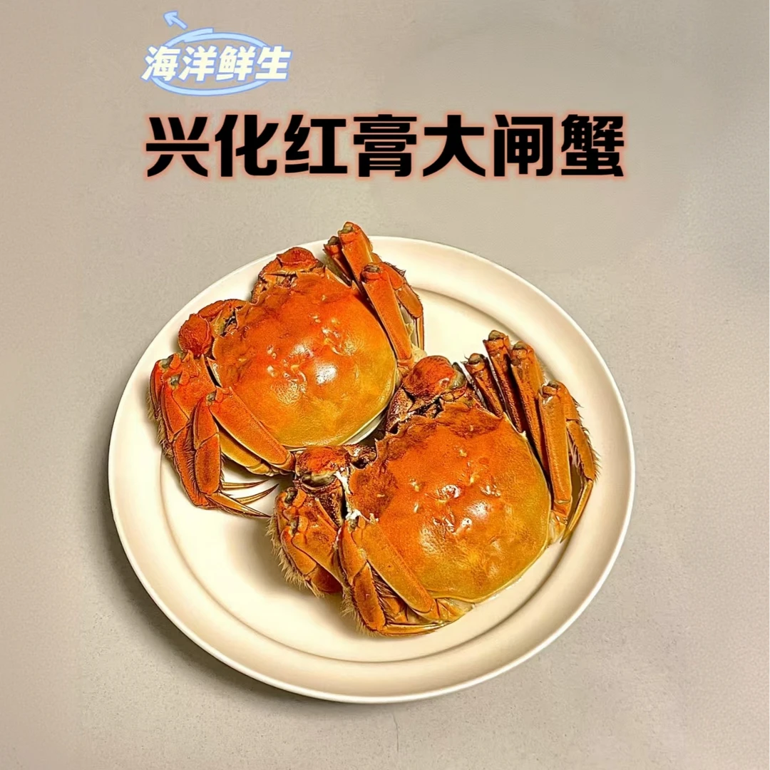 鲜活【全公3.0-3.3两】兴化大闸蟹公蟹 8/10只螃蟹顺丰京东冷链直达