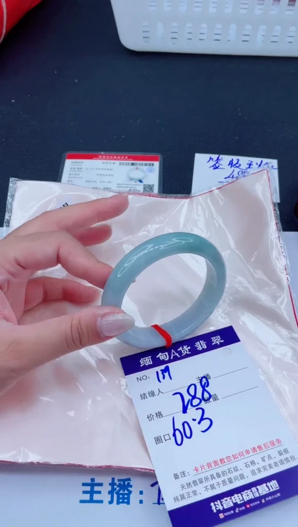 未镶嵌手镯翡翠288