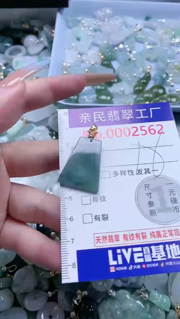 翡翠未镶嵌吊坠(不含链)2562