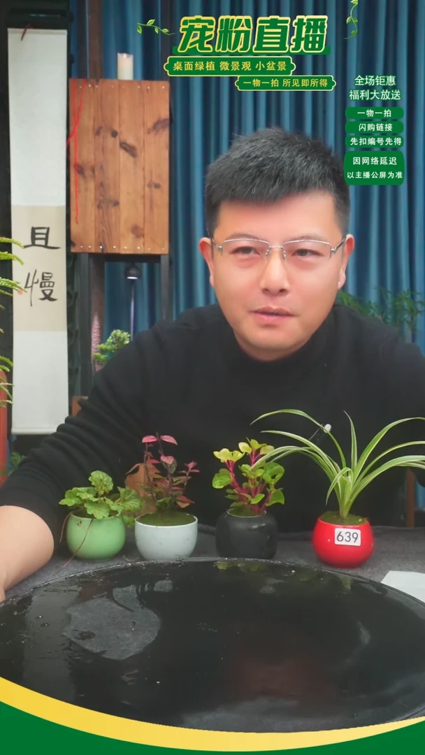 无花朵云**径苔藓微景观639号