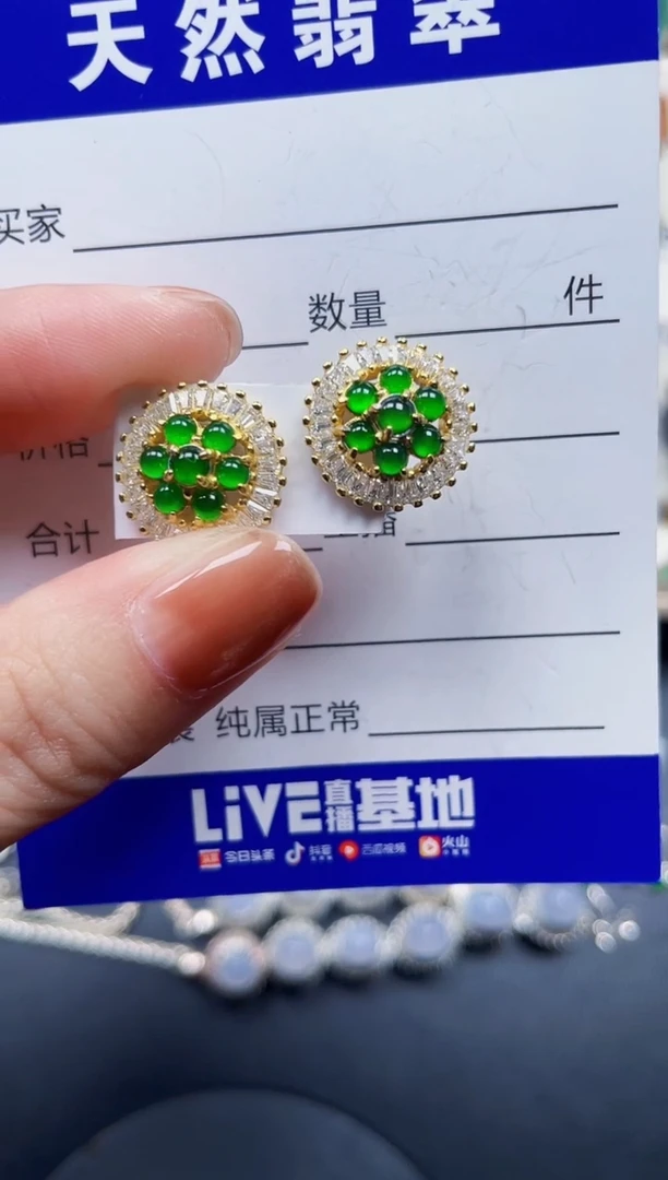 银S925镶嵌翡翠耳饰101