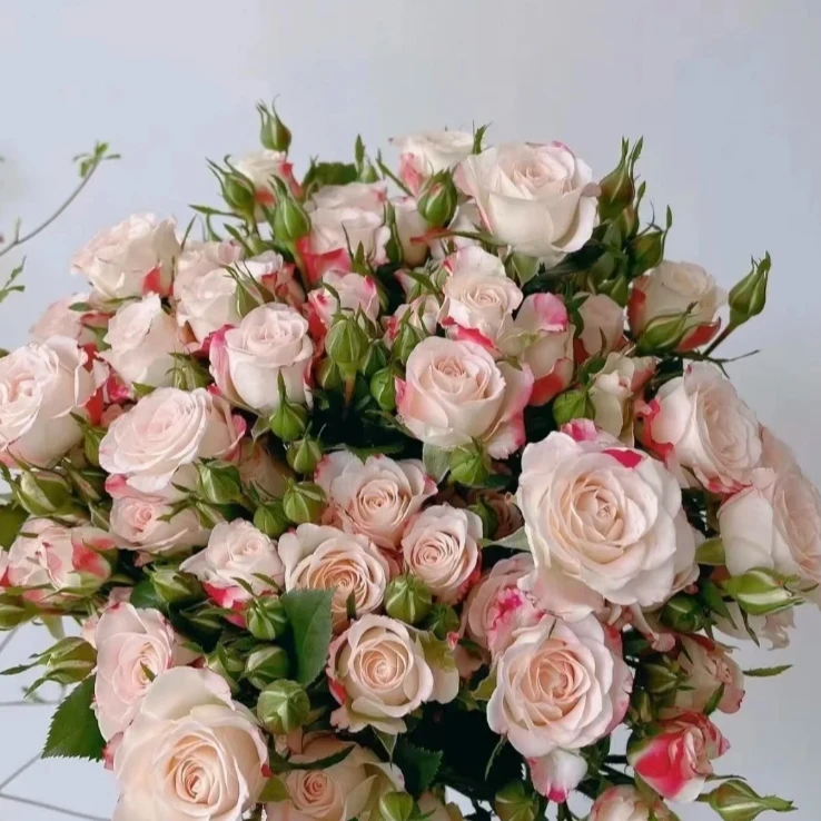 【任意2单发货】折射玫瑰10支