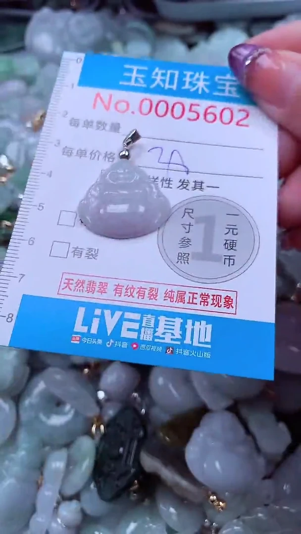 翡翠未镶嵌吊坠(不含链)5602