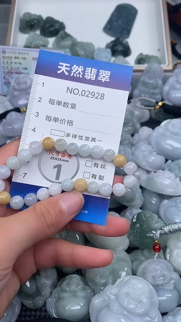 颈饰未镶嵌翡翠纯天然A货翡翠2928