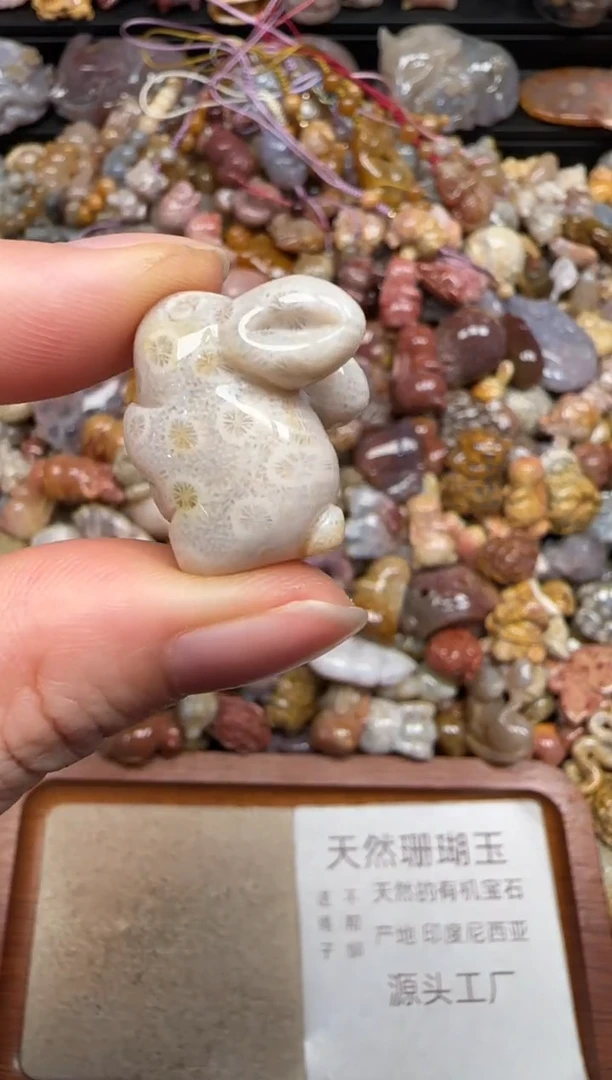 硅化珊瑚（珊瑚玉）未镶嵌颈饰080