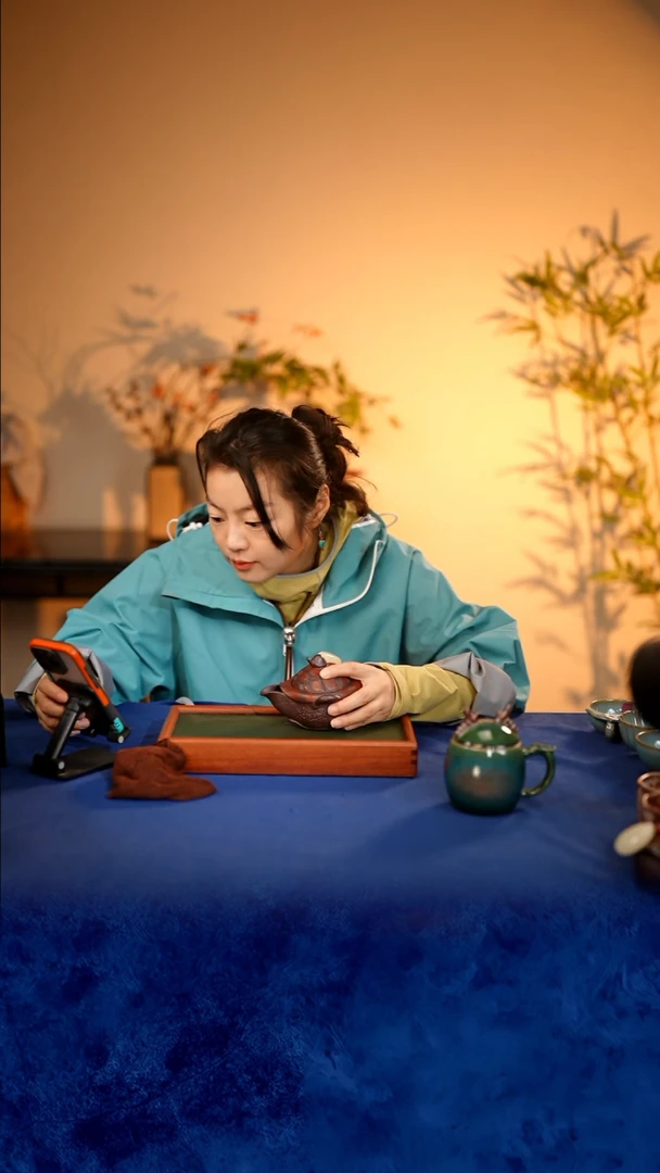 宜兴紫砂 紫砂茶壶 大富甲手抓