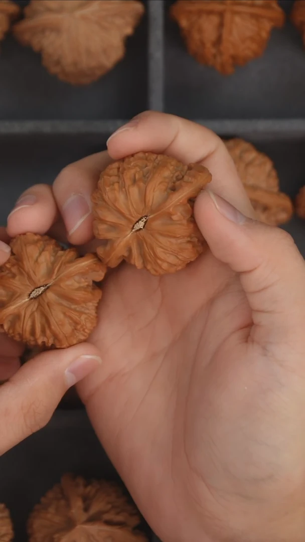 把件文玩核桃42左右全品白狮子