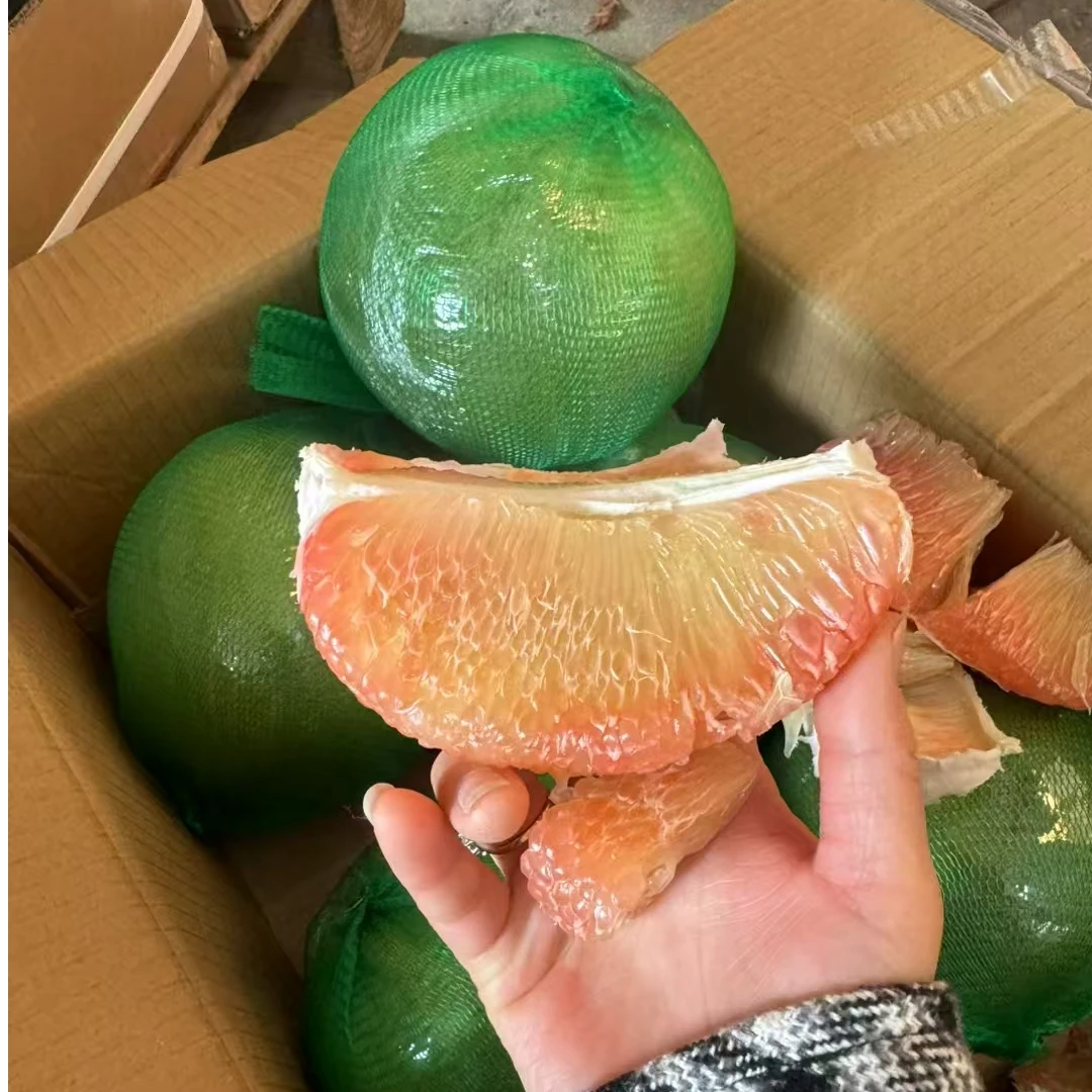 正宗泰国金柚 1000g一个（柚子界的爱马仕）当季水果甜新鲜泰国青柚产地直发青柚泰国