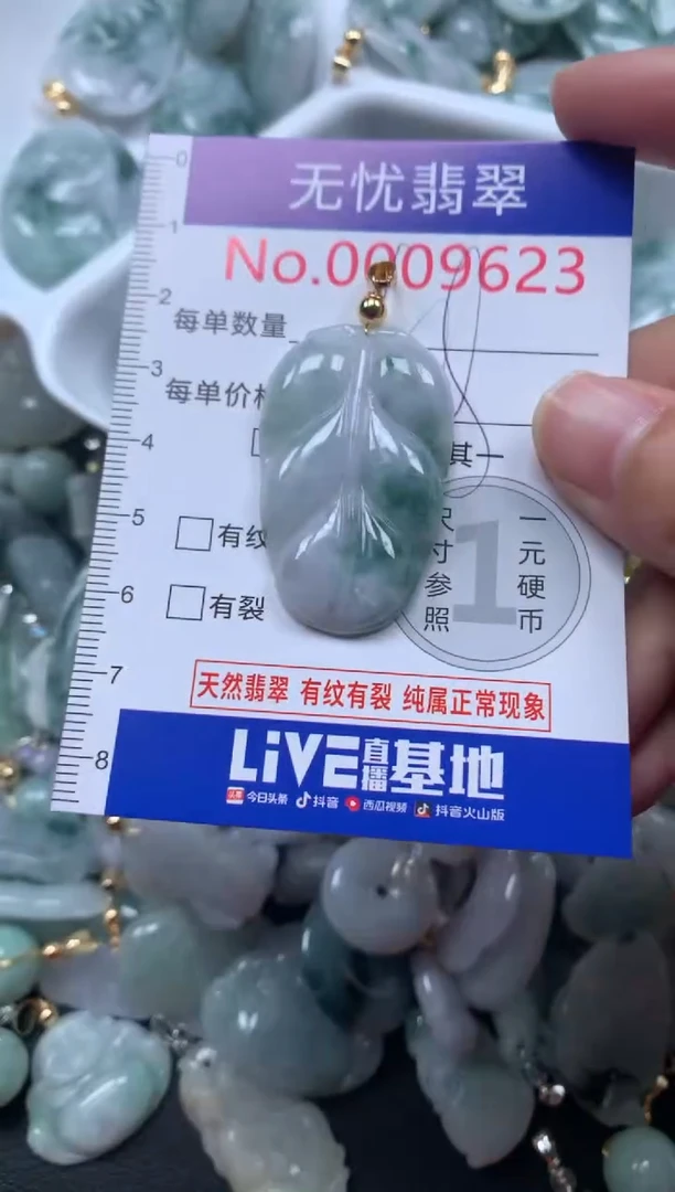 颈饰未镶嵌翡翠9623