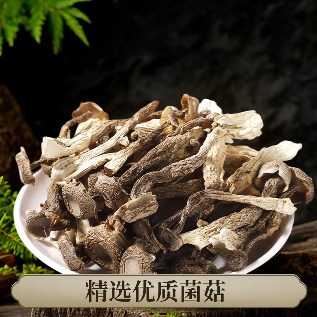 川渝农家菌菇鹿茸菇广元甄选干货炖汤食材农鲜香脆爽口