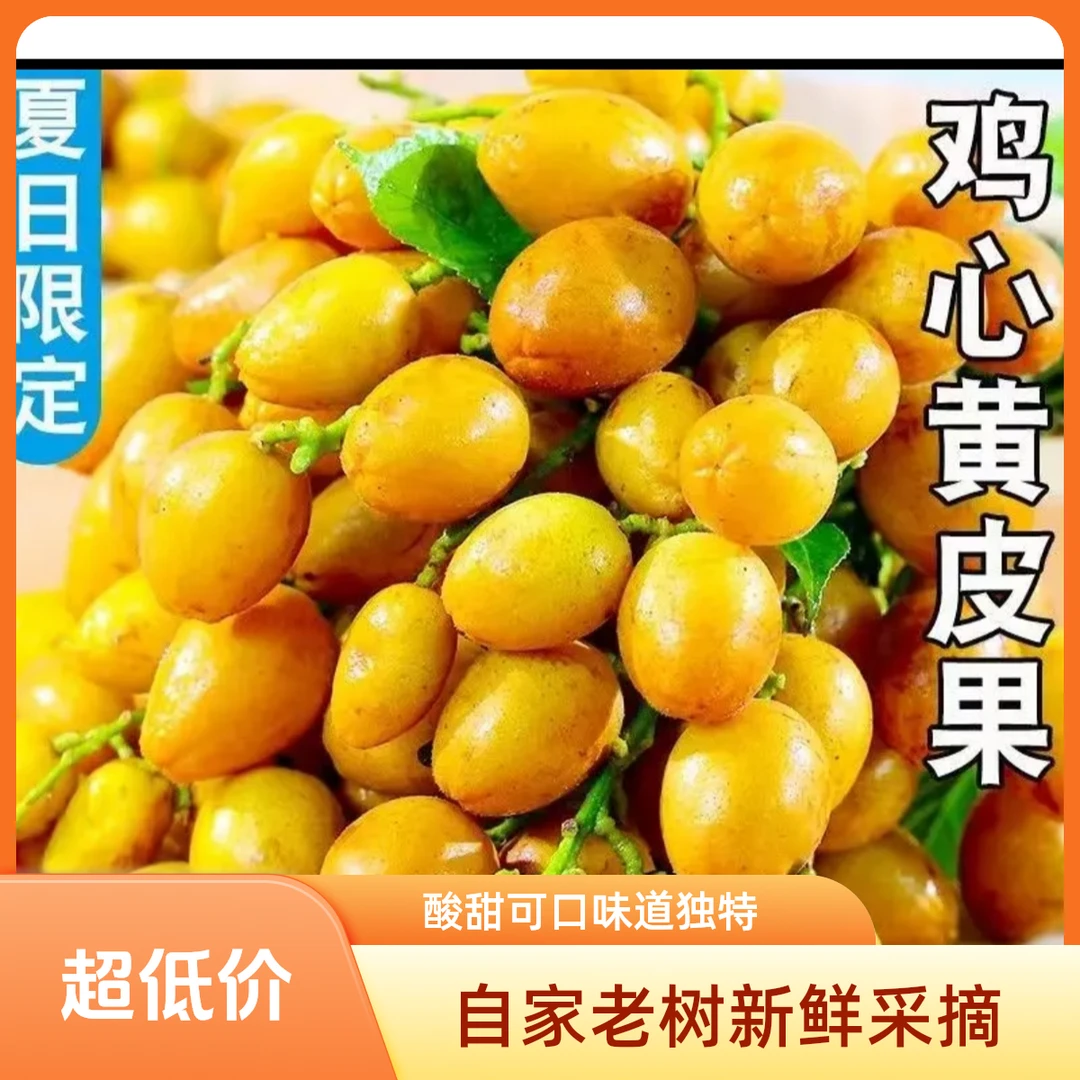 鸡心黄皮果自家老树新鲜采摘酸甜可口孕妇水果皮薄汁水多