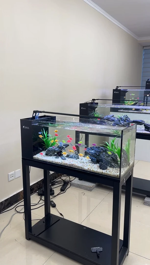 玻璃王*王60-30-30侧滤不带造景带设备带架子