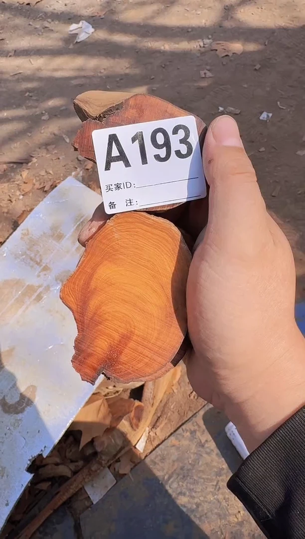 【闪购商品】柏木（崖柏）陈化太行崖柏一片