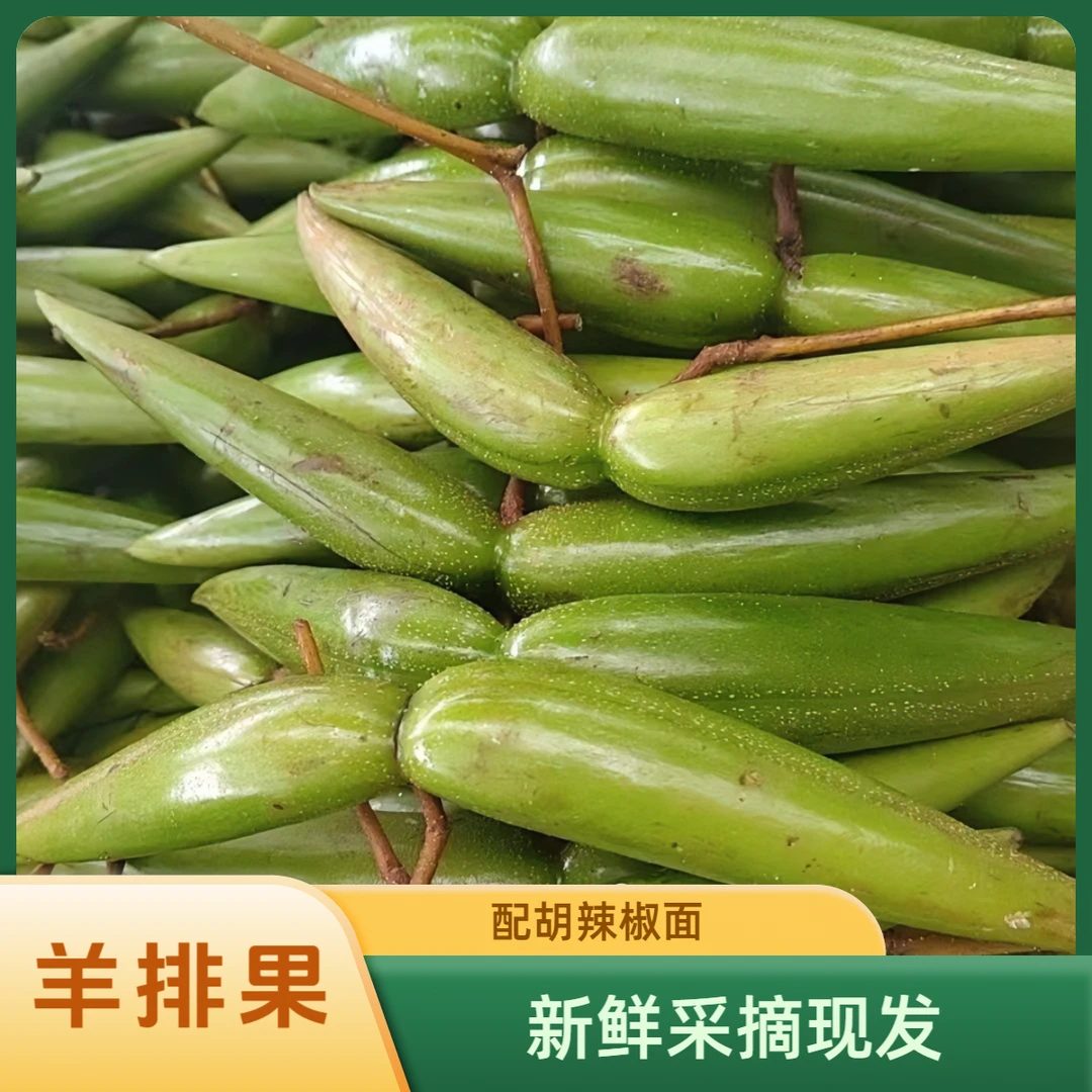 【羊排果】云南酸果新鲜采摘蘸辣椒吃送辣椒面热天解暑必备孕妇水果