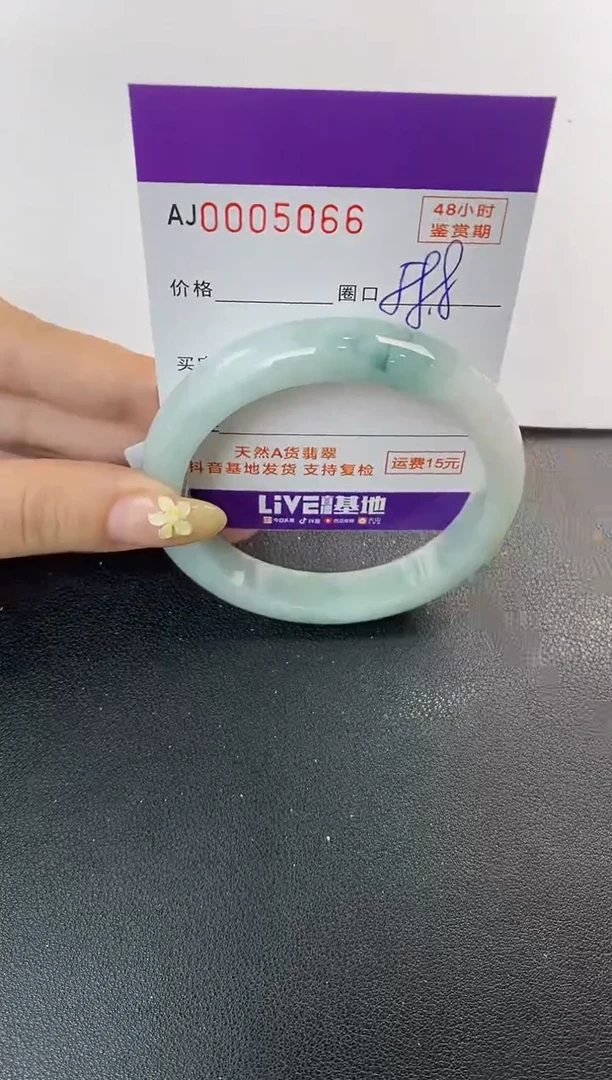 未镶嵌手镯翡翠天然A货翡翠