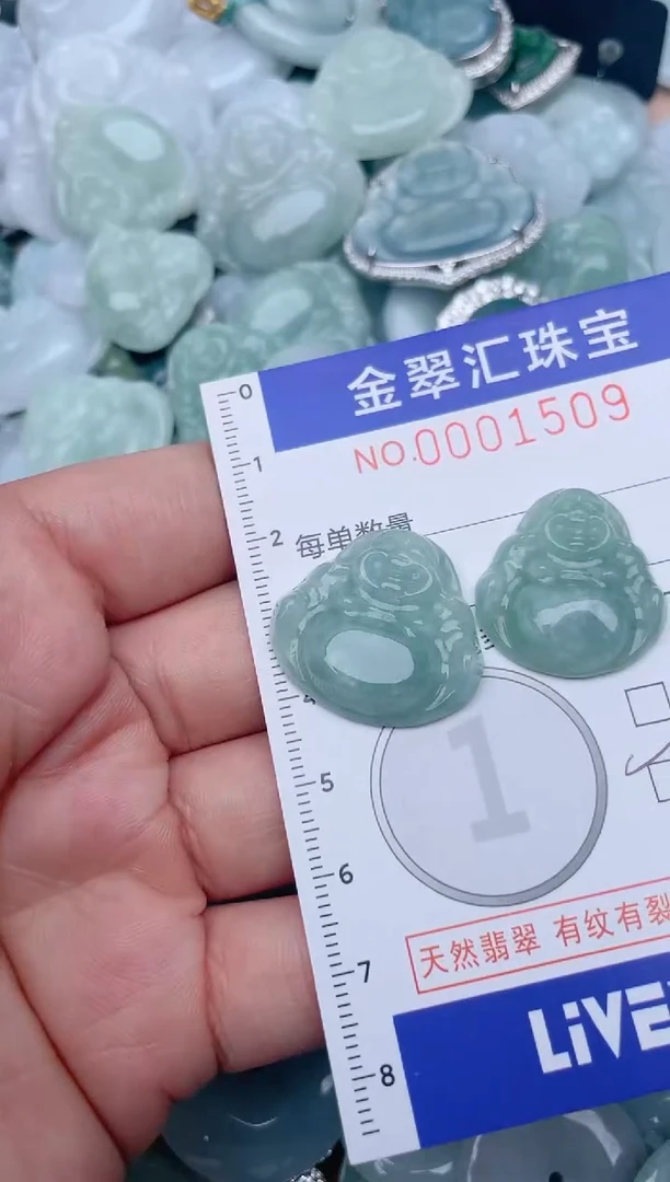 翡翠未镶嵌颈饰1509