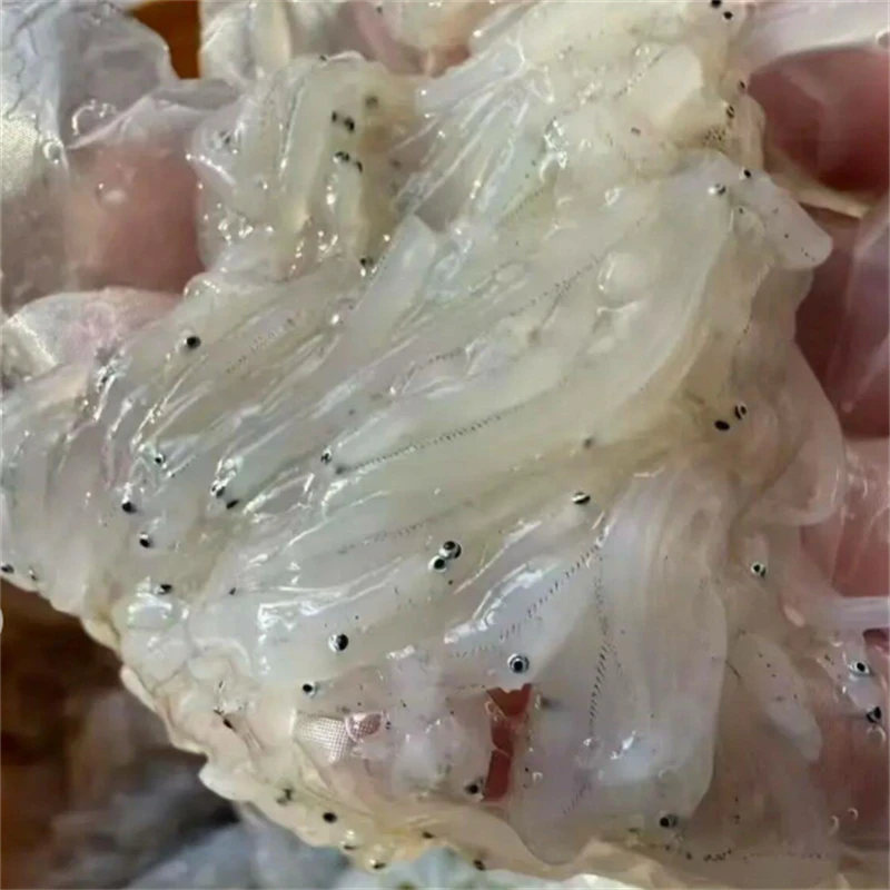 大连野生面条鱼新鲜小银鱼海捕冷冻发货4斤旅顺面条鱼顺丰包邮