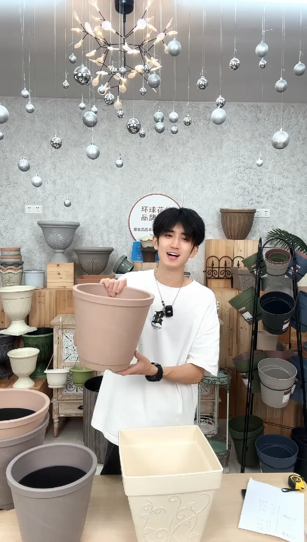 11寸希雅盆罗马陶1只