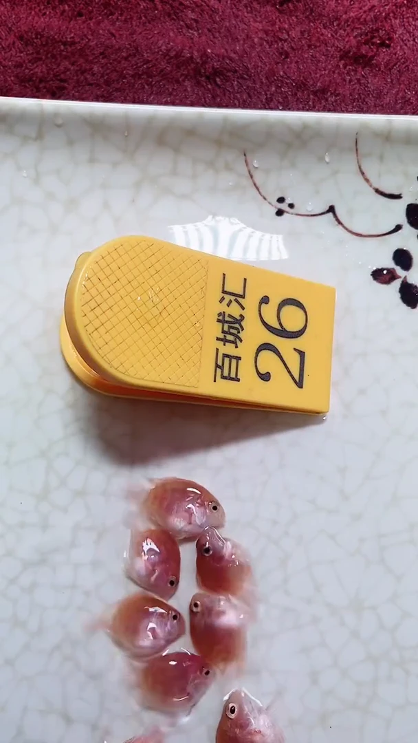 海水鱼8888888888888888