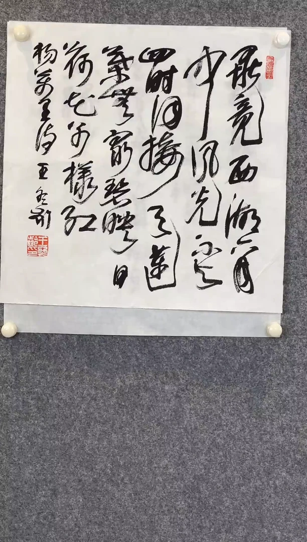 国画用****6老师手写手绘作品