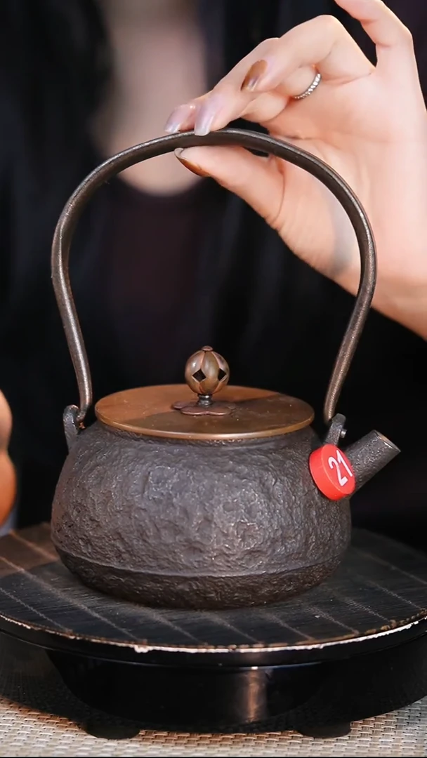 铁壶专属链接定向——————砂铁壶 - 450ml - 红21