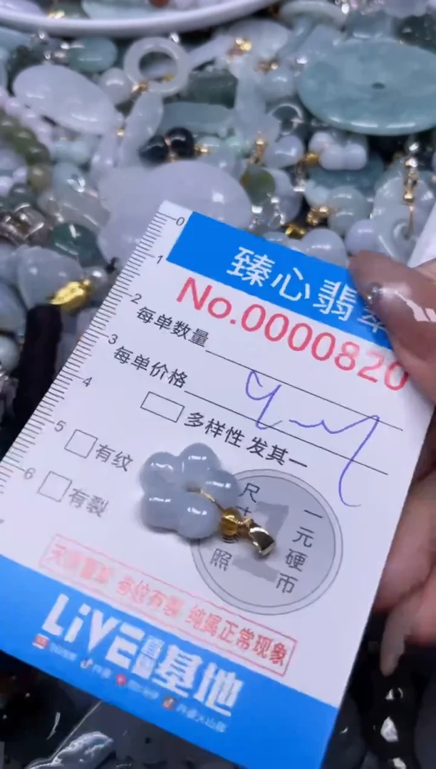 颈饰未镶嵌翡翠820