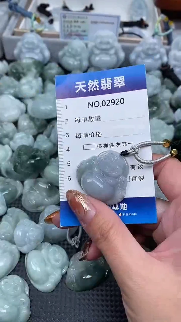 颈饰未镶嵌翡翠纯天然A货翡翠2920