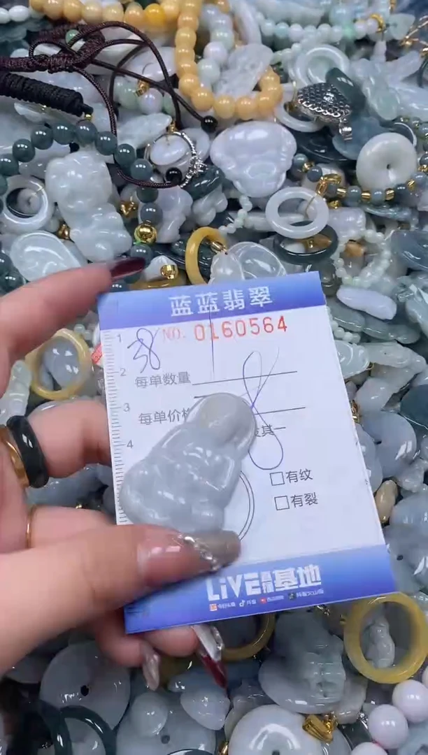 【闪购商品】翡翠颈饰未镶嵌闪购0160564多样性发其一