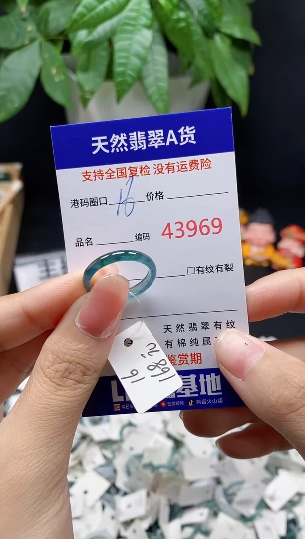 翡翠戒指未镶嵌苍**歌天然翡翠戒圈3969