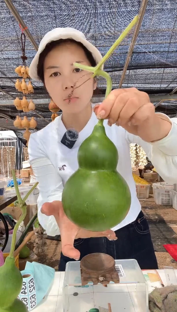 632天然葫芦摆件 一物一拍龙头不保售后
