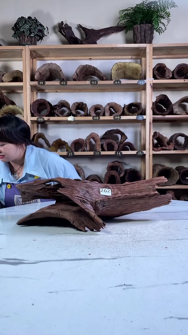 F***y云南紫柚木造景沉木262