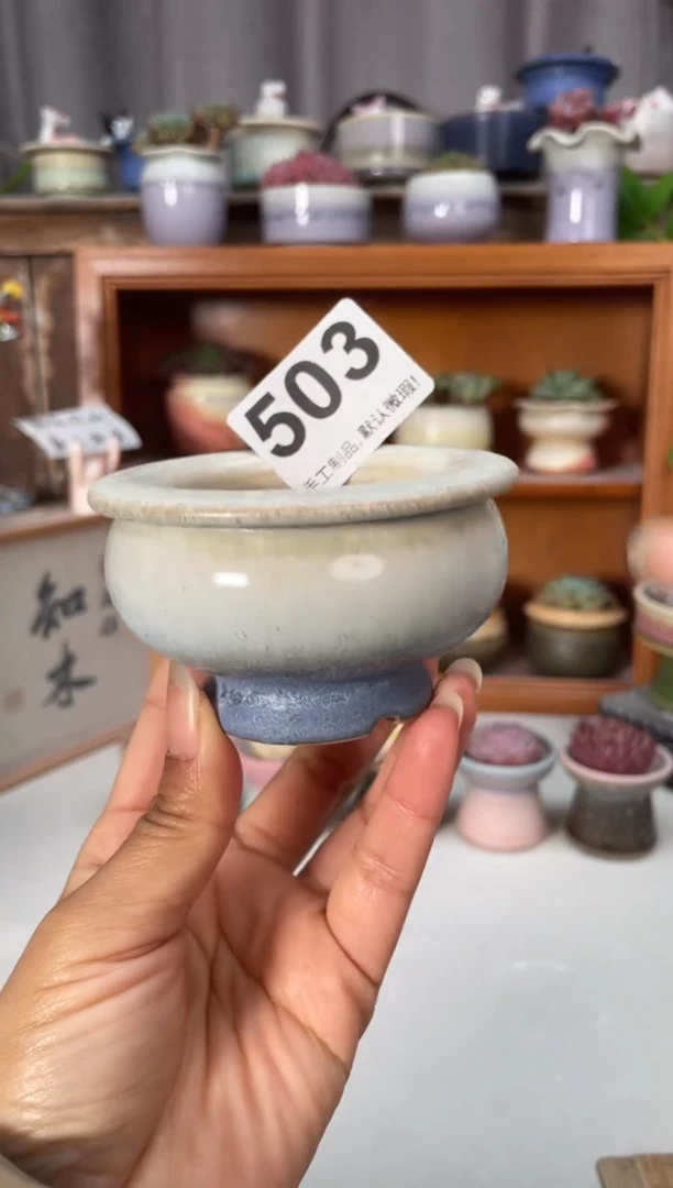 瓷片503小芳直播编号