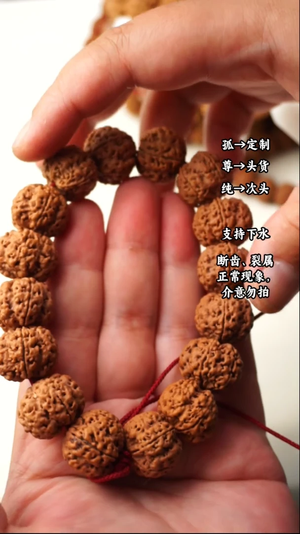 金刚菩提吊坠编号6:19尺寸梅花双龙大金刚手串