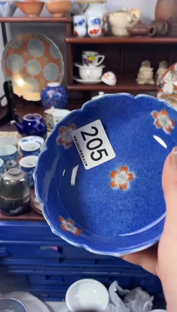 【闪购商品】瓷片205............