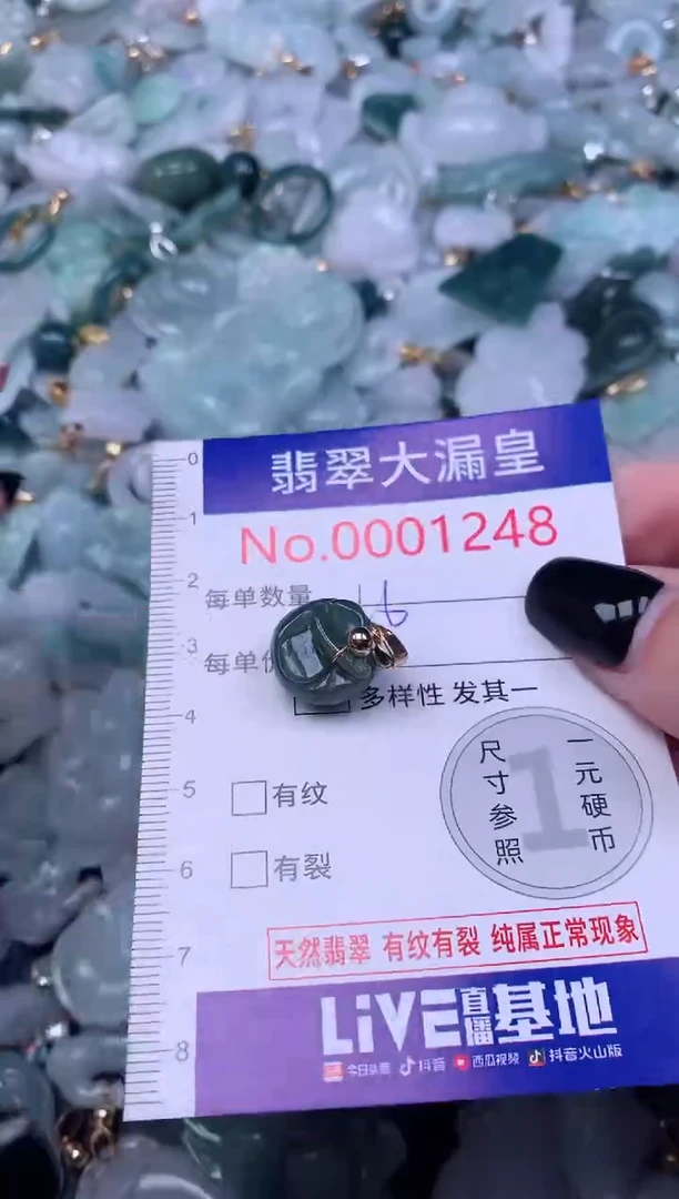 颈饰未镶嵌翡翠1248