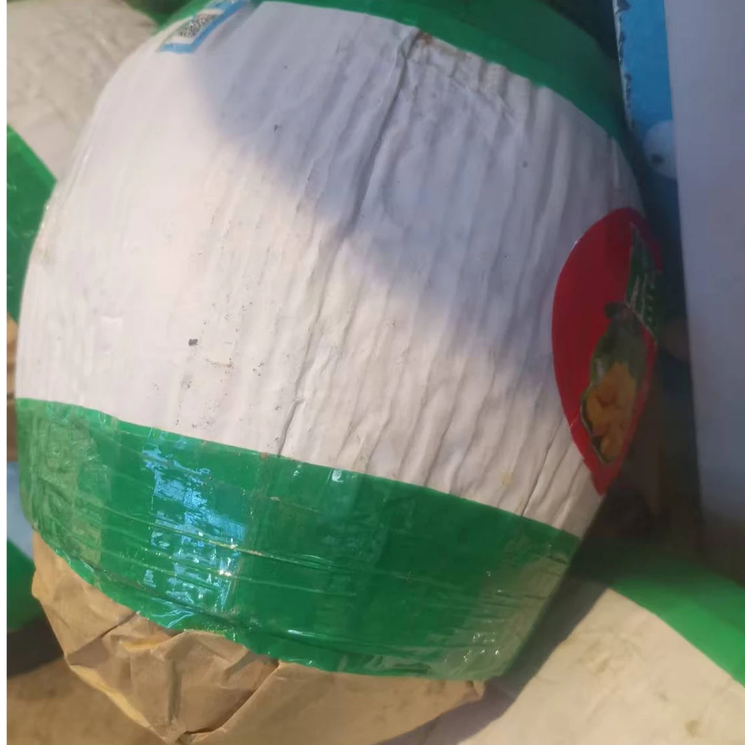 菠萝蜜大约500g