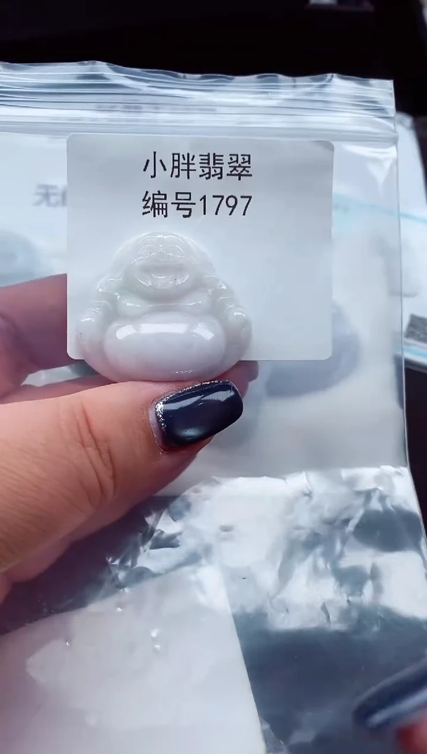 颈饰未镶嵌翡翠缅甸天然A货翡翠1797