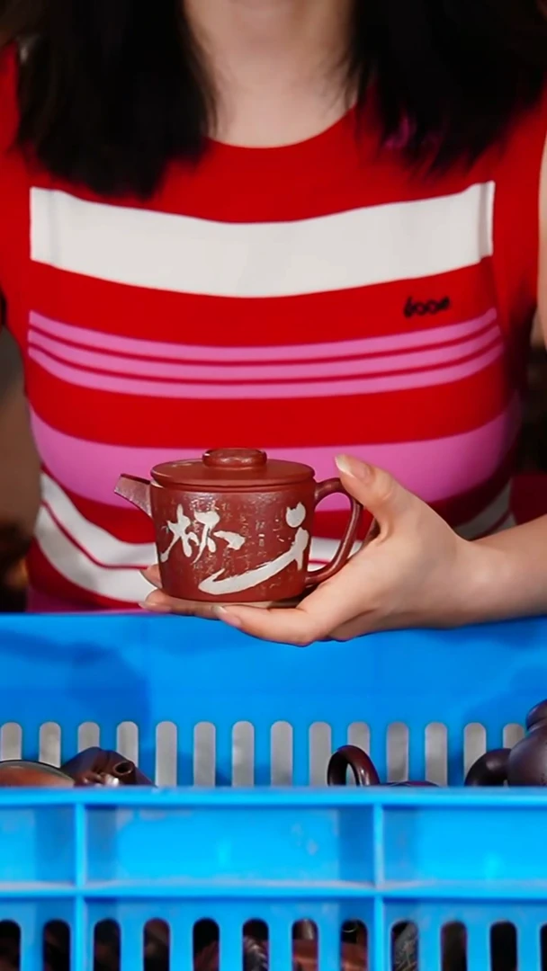 宜兴原矿紫砂壶茶壶100C