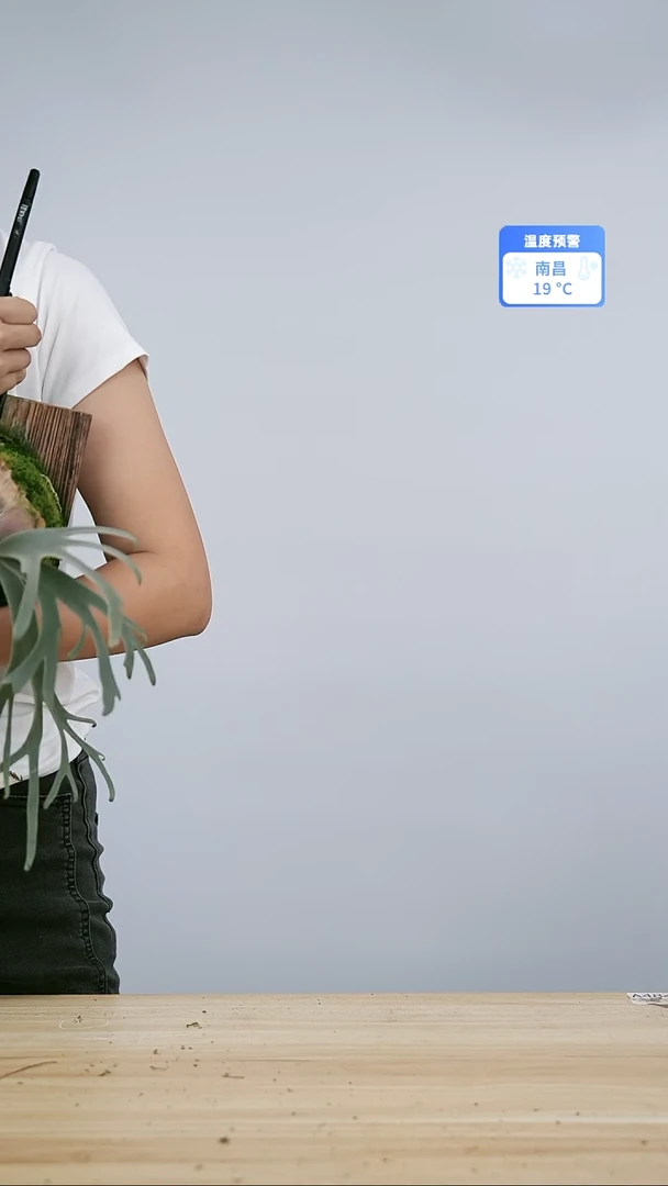 无花朵没头脑  换板软木