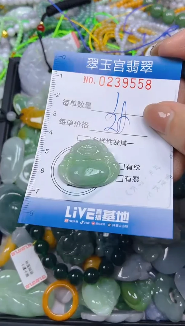 颈饰未镶嵌翡翠闪购C0239558