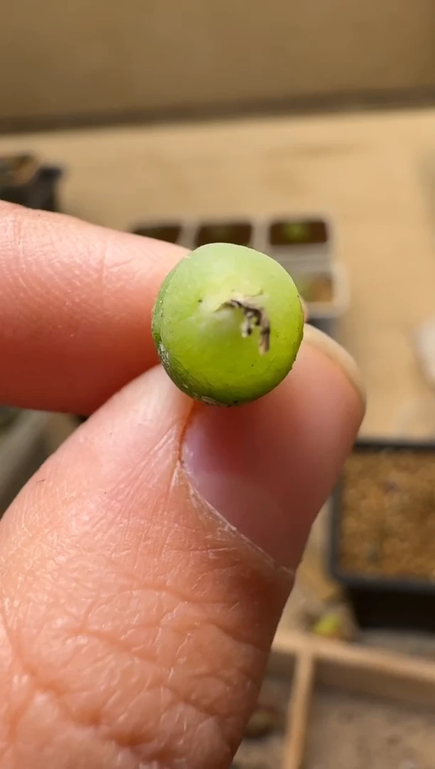 【闪购商品】1/21-153