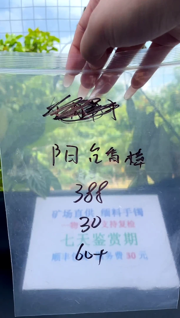 非金属无阳**樟手镯下单链接一单一付