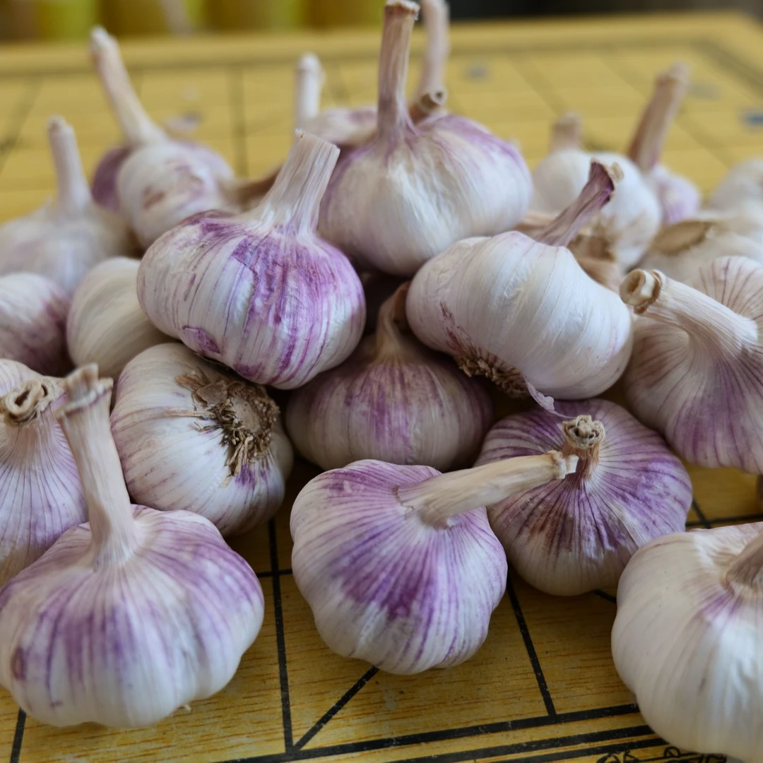 果讯跃【主播推荐】新晒干大蒜5斤3斤杞县特产紫白皮2斤1斤9斤