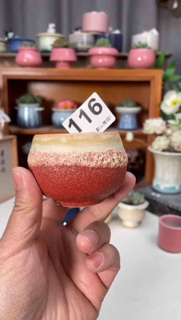 瓷片116小芳直播编号