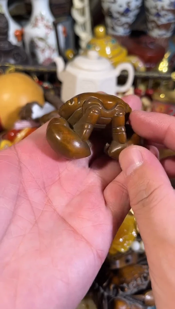 黄杨木111111111111111111