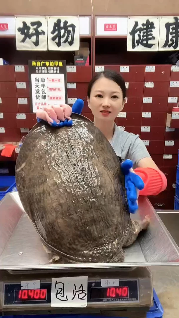 中国大陆11.9斤一只