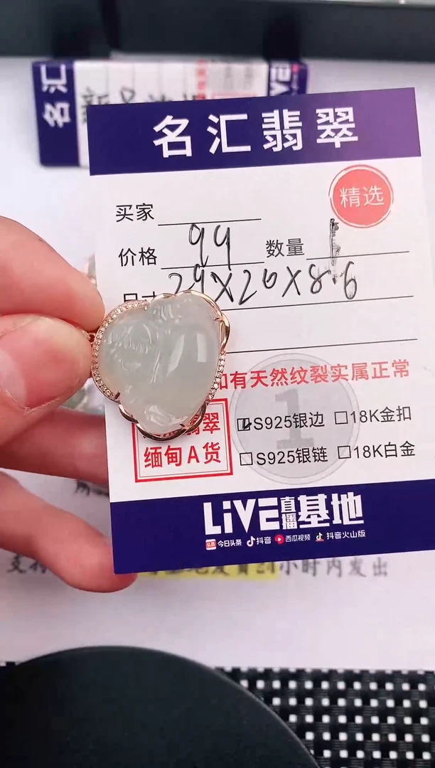 翡翠银S925镶嵌颈饰·