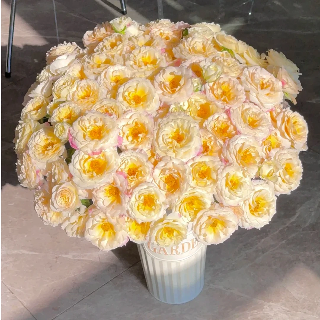 月瑶【高级多头】0度以下加拍保温棉否则冻坏不售后