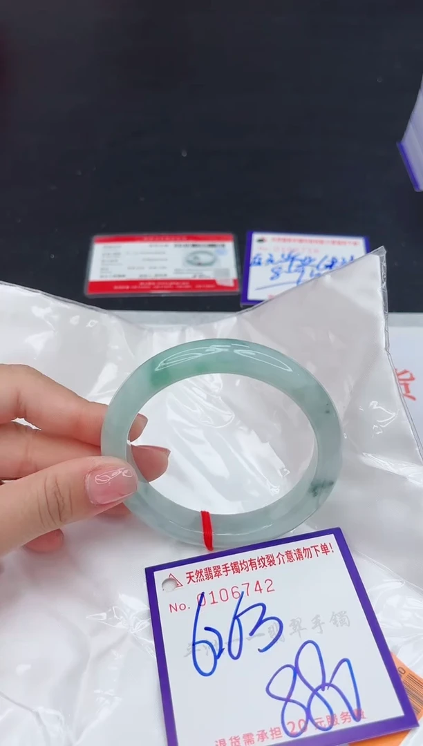 未镶嵌手镯翡翠1